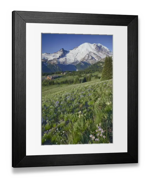 Framed Print : WA, Mount Rainier National Park, Mount Rainier and Little Tahoma, with Steamboat Prow formation Framed Print : WA, Mount Rainier National Park, Mount Rainier and Little Tahoma, with Steamboat Prow formation