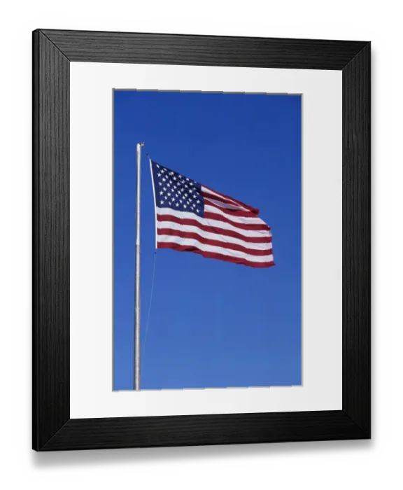 Framed Print : WA, Seattle, American Flag Framed Print : WA, Seattle, American Flag