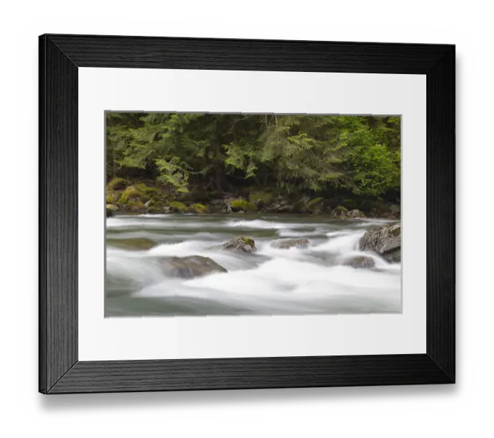Framed Print : WA, Olallie State Park, Snoqualmie River, South Fork