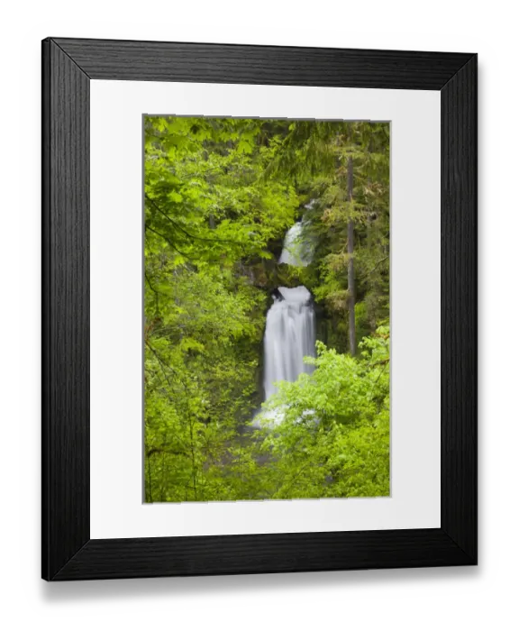 Framed Print : WA, Gifford Pinchot National Forest, Curly Creek Falls, arch formed from water flow Framed Print : WA, Gifford Pinchot National Forest, Curly Creek Falls, arch formed from water flow