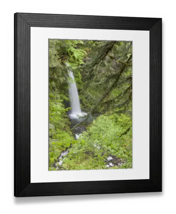 Framed Print : WA, Gifford Pinchot National Forest, Miller Creek Falls Framed Print : WA, Gifford Pinchot National Forest, Miller Creek Falls