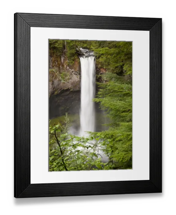 Framed Print : WA, Gifford Pinchot National Forest, Big Creek Falls, plunges 125 feet