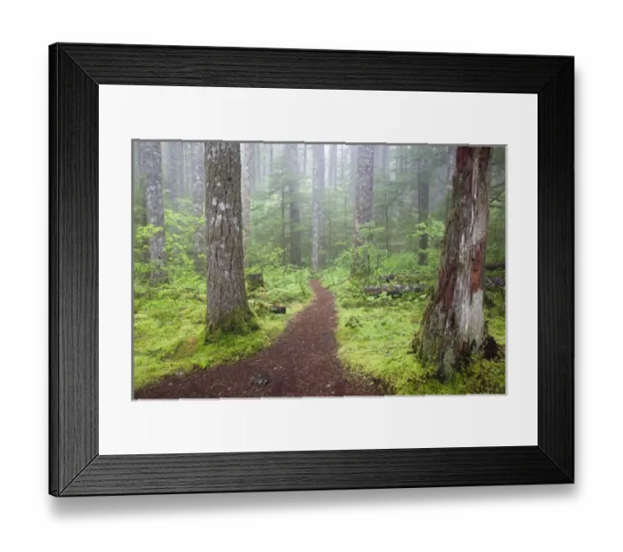 Framed Print : WA, Gifford Pinchot National Forest, Lewis River trail Framed Print : WA, Gifford Pinchot National Forest, Lewis River trail