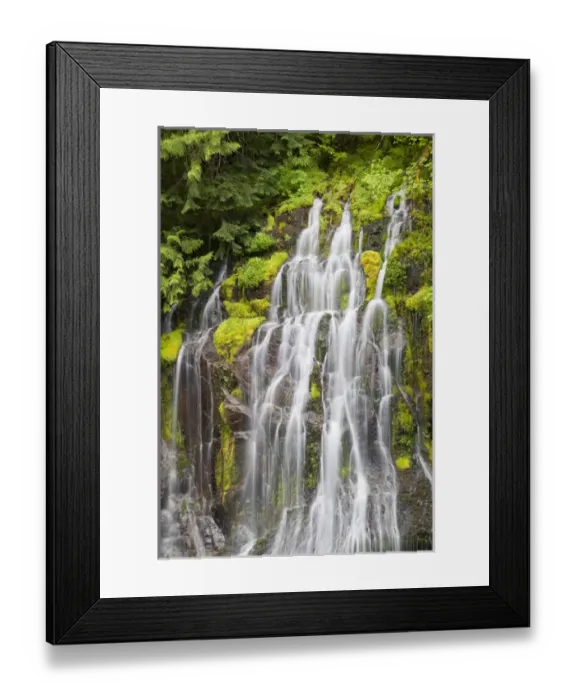 Framed Print : WA, Gifford Pinchot National Forest, Panther Creek Falls Framed Print : WA, Gifford Pinchot National Forest, Panther Creek Falls