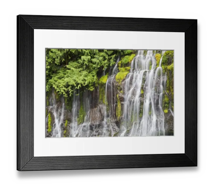 Framed Print : WA, Gifford Pinchot National Forest, Panther Creek Falls Framed Print : WA, Gifford Pinchot National Forest, Panther Creek Falls