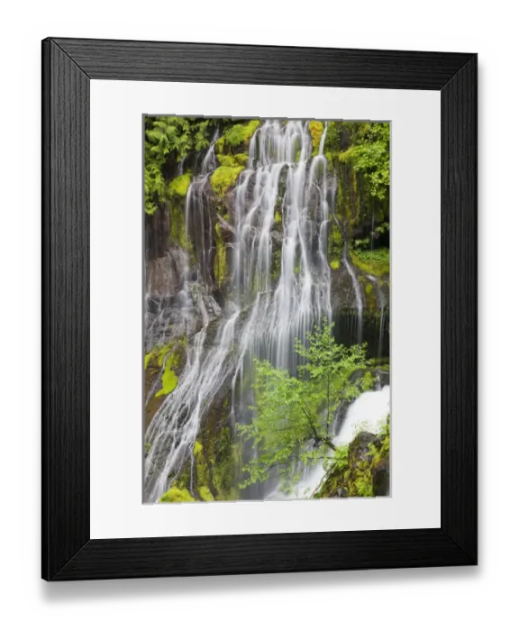 Framed Print : WA, Gifford Pinchot National Forest, Panther Creek Falls, and Big Creek Framed Print : WA, Gifford Pinchot National Forest, Panther Creek Falls, and Big Creek