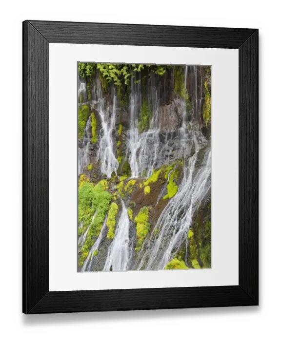 Framed Print : WA, Gifford Pinchot National Forest, Panther Creek Falls