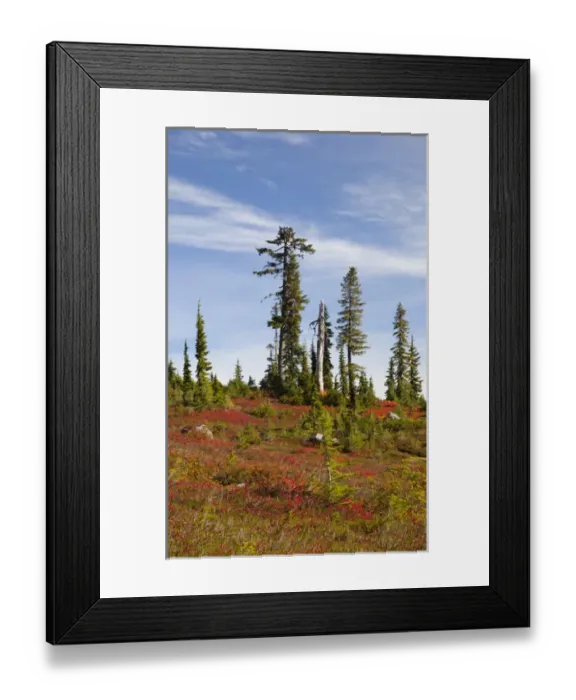Framed Print : WA, Mount Baker National Recreation Area, Park Butte, Lower Morovitz Meadow