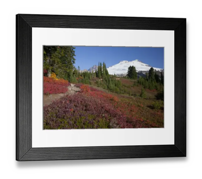 Framed Print : WA, Mount Baker National Recreation Area, Park Butte, Mount Baker, Railroad Grade trail Framed Print : WA, Mount Baker National Recreation Area, Park Butte, Mount Baker, Railroad Grade trail