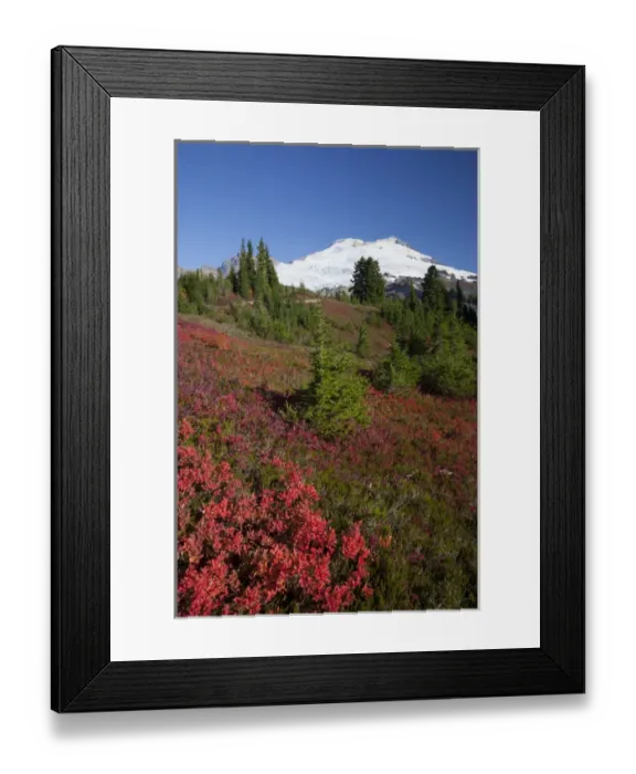 Framed Print : WA, Mount Baker National Recreation Area, Park Butte, Mount Baker, Railroad Grade Framed Print : WA, Mount Baker National Recreation Area, Park Butte, Mount Baker, Railroad Grade