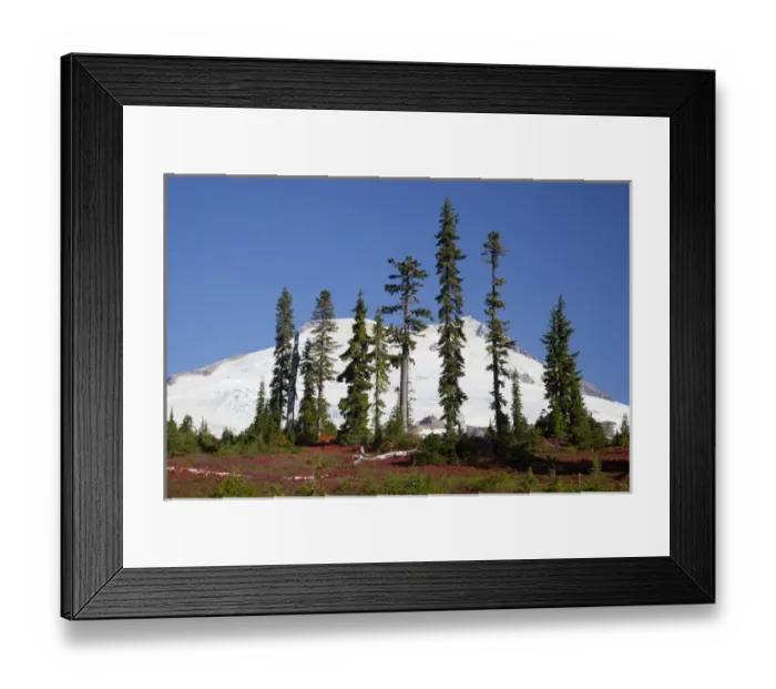 Framed Print : WA, Mount Baker National Recreation Area, Park Butte, Mount Baker, Lower Morovitz Meadow Framed Print : WA, Mount Baker National Recreation Area, Park Butte, Mount Baker, Lower Morovitz Meadow