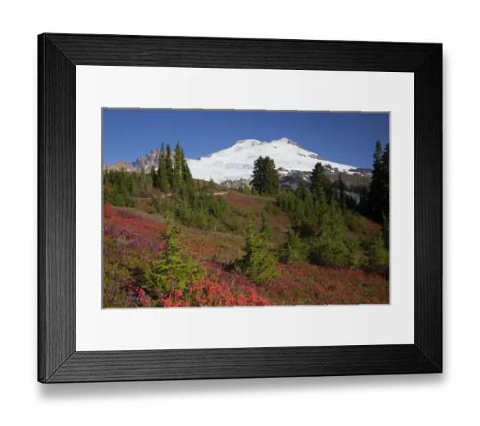 Framed Print : WA, Mount Baker National Recreation Area, Park Butte, Mount Baker, Railroad Grade trail Framed Print : WA, Mount Baker National Recreation Area, Park Butte, Mount Baker, Railroad Grade trail