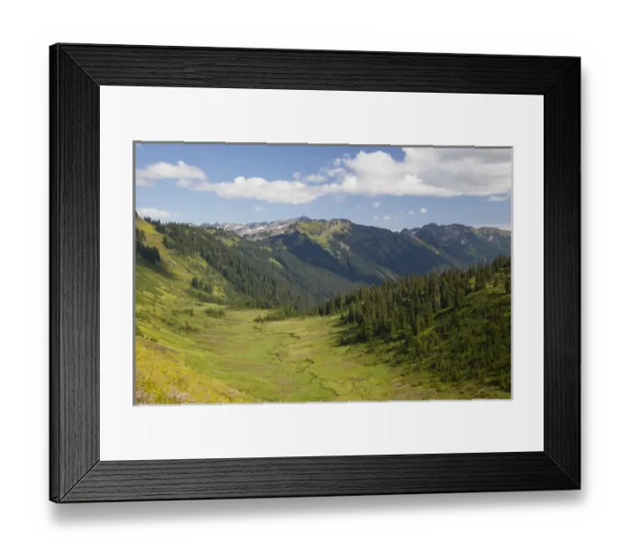 Framed Print : WA, Henry M. Jackson Wilderness, Meander Meadow Framed Print : WA, Henry M. Jackson Wilderness, Meander Meadow