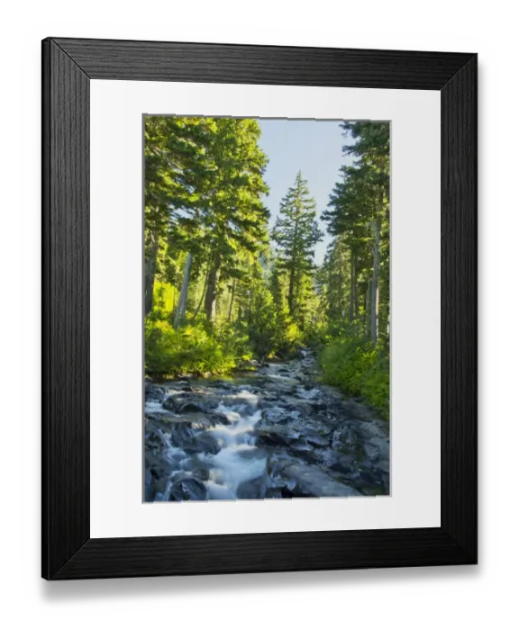 Framed Print : Paradise River, Mount Rainier National Park, Washington, USA Framed Print : Paradise River, Mount Rainier National Park, Washington, USA
