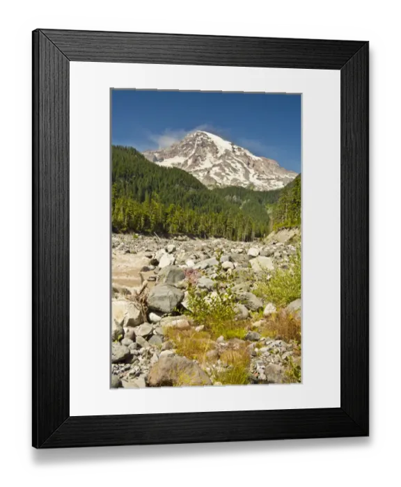 Framed Print : Mount Rainier and Nisqually River, Mount Rainier National Park, Washington, USA