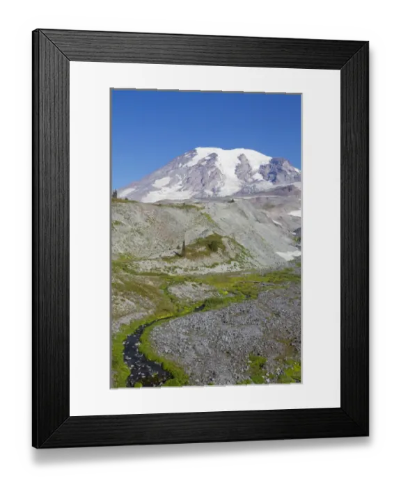 Framed Print : WA, Mount Rainier National Park, Mount Rainier and Paradise Valley Framed Print : WA, Mount Rainier National Park, Mount Rainier and Paradise Valley