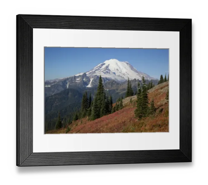Framed Print : WA, Mount Rainier National Park, Mount Rainier, view from Naches Loop near Chinook Pass Framed Print : WA, Mount Rainier National Park, Mount Rainier, view from Naches Loop near Chinook Pass