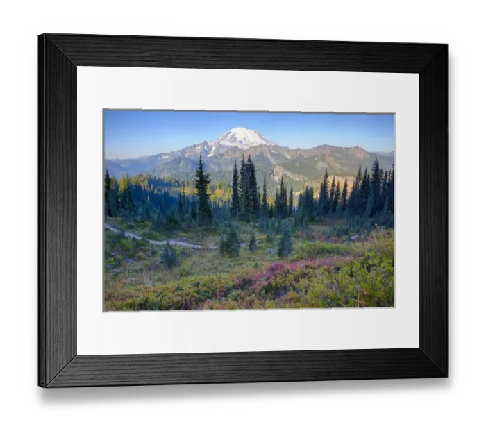 Framed Print : WA, Mount Rainier National Park, Mount Rainier, view from Naches Loop near Chinook Pass Framed Print : WA, Mount Rainier National Park, Mount Rainier, view from Naches Loop near Chinook Pass