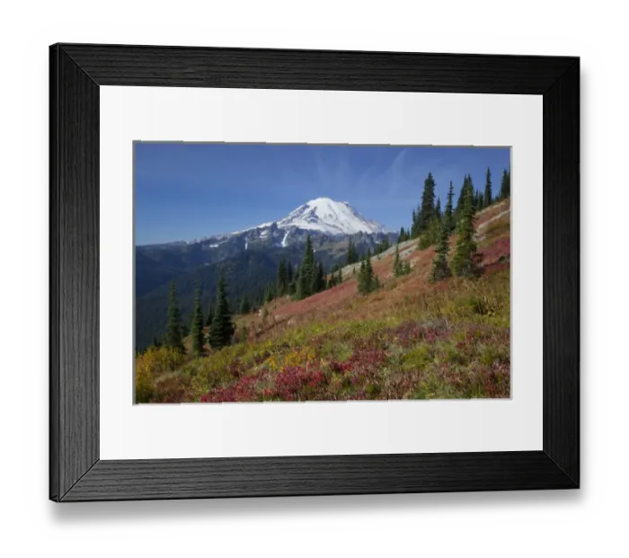 Framed Print : WA, Mount Rainier National Park, Mount Rainier, view from Naches Loop near Chinook Pass