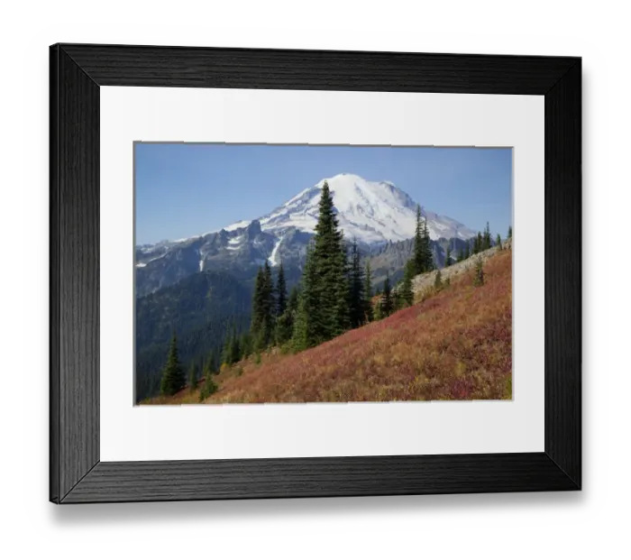 Framed Print : WA, Mount Rainier National Park, Mount Rainier, view from Naches Loop near Chinook Pass Framed Print : WA, Mount Rainier National Park, Mount Rainier, view from Naches Loop near Chinook Pass