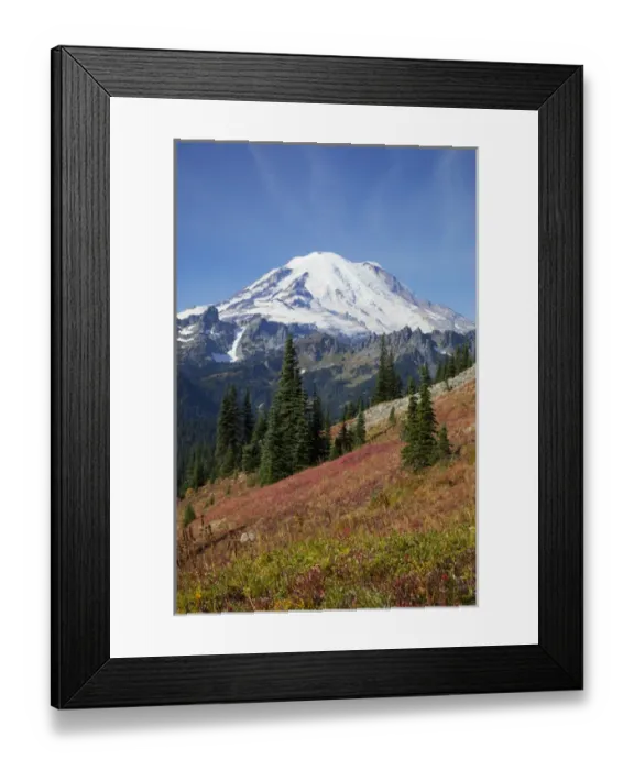 Framed Print : WA, Mount Rainier National Park, Mount Rainier, view from Naches Loop near Chinook Pass