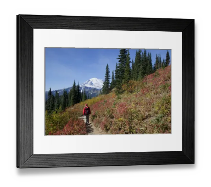 Framed Print : WA, Mount Rainier National Park, Mount Rainier, view from Naches Loop near Chinook Pass