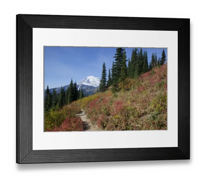 Framed Print : WA, Mount Rainier National Park, Mount Rainier, view from Naches Loop near Chinook Pass