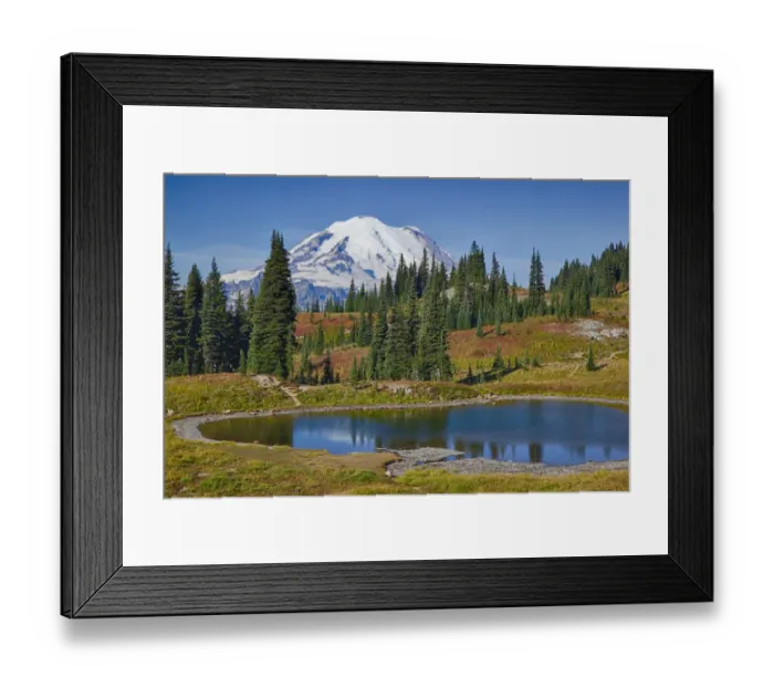 Framed Print : WA, Mount Rainier National Park, Mount Rainier, view from Naches Loop near Chinook Pass