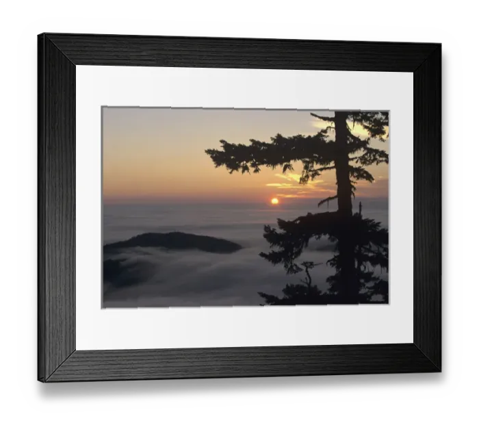 Framed Print : WA, Olympic National Park, Hurricane Ridge, Sunrise near Observation Point