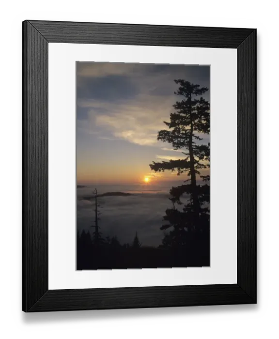 Framed Print : WA, Olympic National Park, Hurricane Ridge, Sunrise near Observation Point