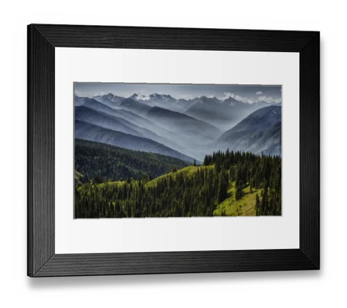 Framed Print : Olympic National Park, USA - Hurricane Ridge - Fog layers melt revealing the depth Framed Print : Olympic National Park, USA - Hurricane Ridge - Fog layers melt revealing the depth