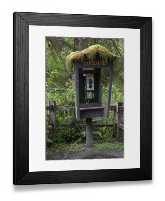 Framed Print : USA, Washington, Port Angeles, Olympic National Park, Hoh Rain Forest Framed Print : USA, Washington, Port Angeles, Olympic National Park, Hoh Rain Forest