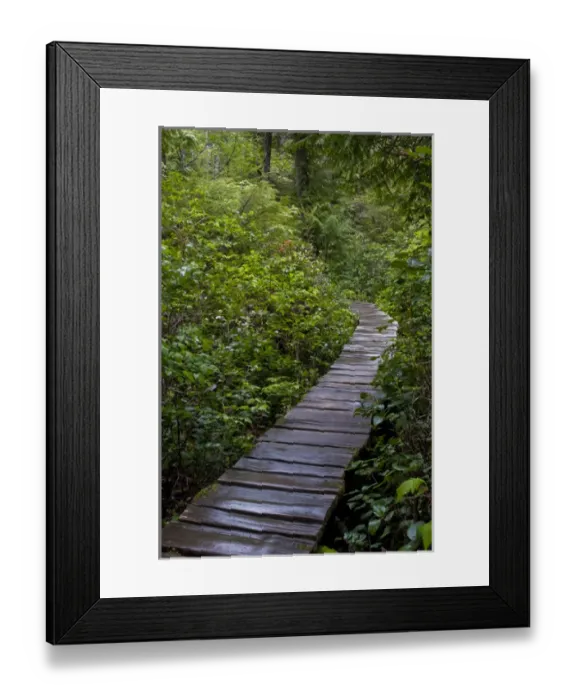 Framed Print : USA, Washington, Neah Bay, Cape Flattery boardwalk Framed Print : USA, Washington, Neah Bay, Cape Flattery boardwalk