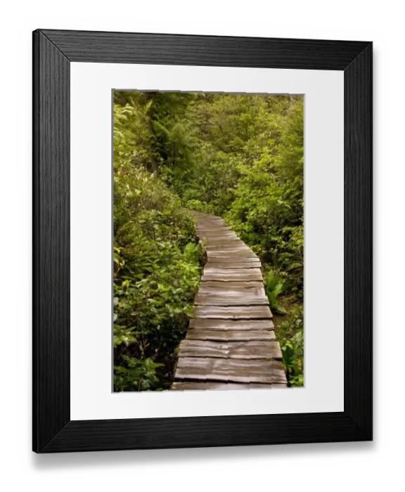 Framed Print : USA, Washington, Neah Bay, Cape Flattery boardwalk Framed Print : USA, Washington, Neah Bay, Cape Flattery boardwalk