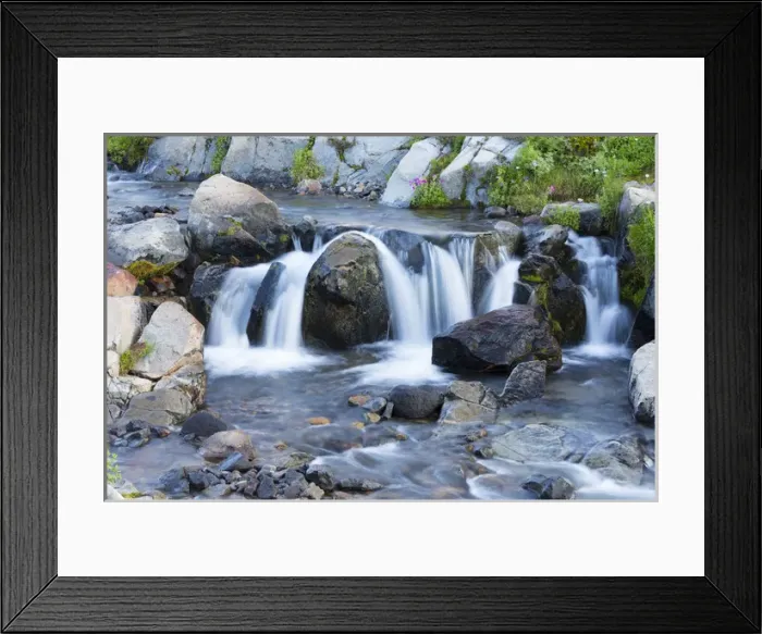 Framed Print : WA, Mount Rainier National Park, Edith Creek Framed Print : WA, Mount Rainier National Park, Edith Creek