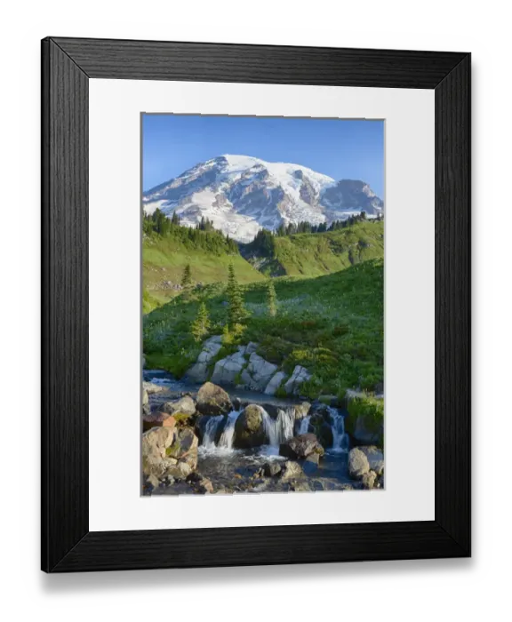 Framed Print : WA, Mount Rainier National Park, Edith Creek and Mount Rainier