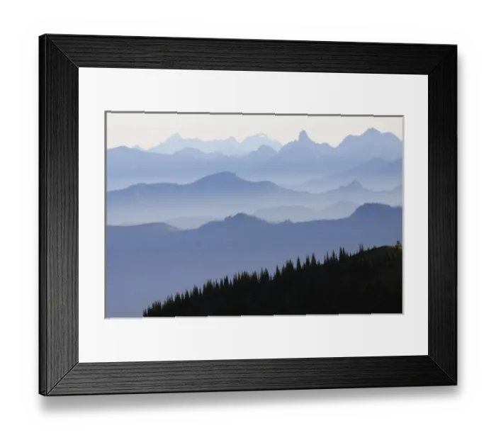 Framed Print : Mount Rainier National Park, Cascade Mountains Framed Print : Mount Rainier National Park, Cascade Mountains
