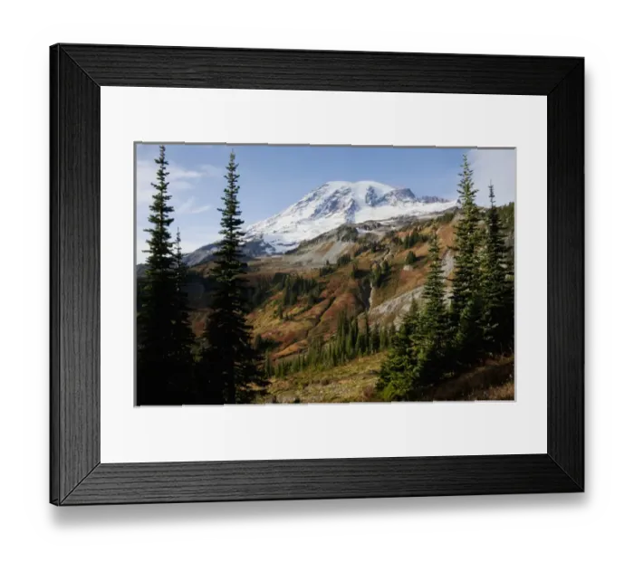Framed Print : Mount Rainier National Park, autumn Framed Print : Mount Rainier National Park, autumn