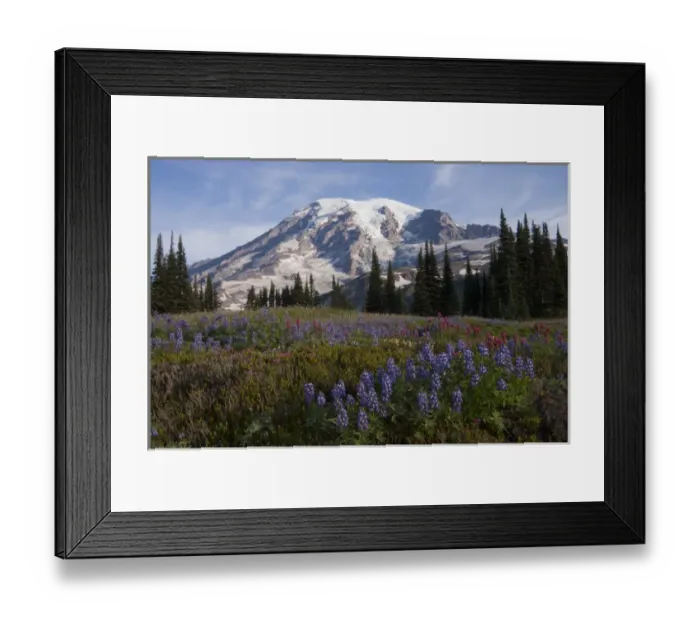 Framed Print : Mount Rainier National Park, Mount Rainier Framed Print : Mount Rainier National Park, Mount Rainier