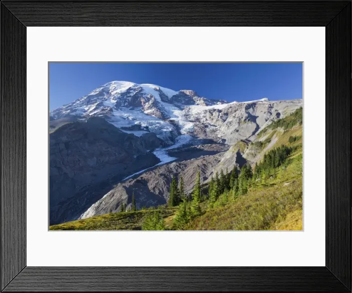 Framed Print : Mount Rainier