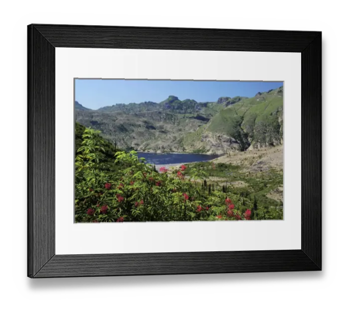 Framed Print : Spirit Lake, Mount St. Helens Wilderness, Washington, USA Framed Print : Spirit Lake, Mount St. Helens Wilderness, Washington, USA