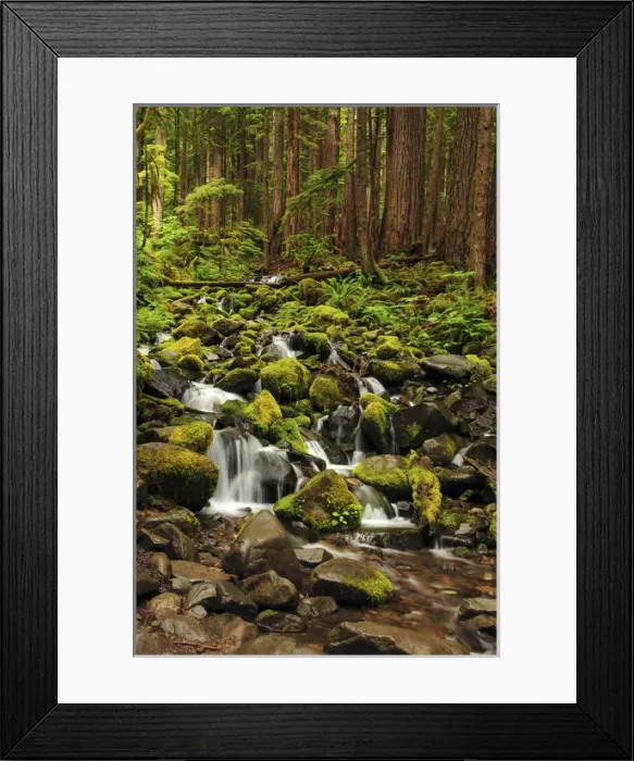 Framed Print : Below Sol Duc Falls, Olympic National Park, Washington, USA