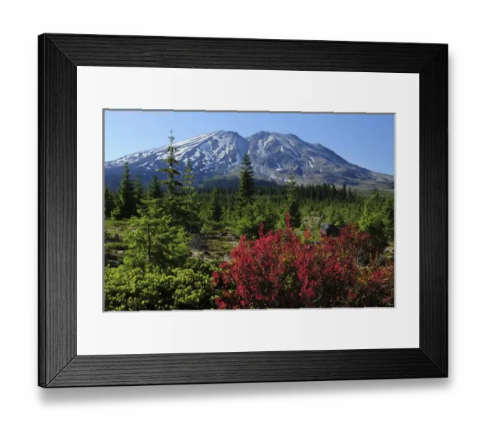 Framed Print : Early Autumn, Lahar, Mount St. Helen, Mount St. Helen Wildernesss, Washington, USA Framed Print : Early Autumn, Lahar, Mount St. Helen, Mount St. Helen Wildernesss, Washington, USA