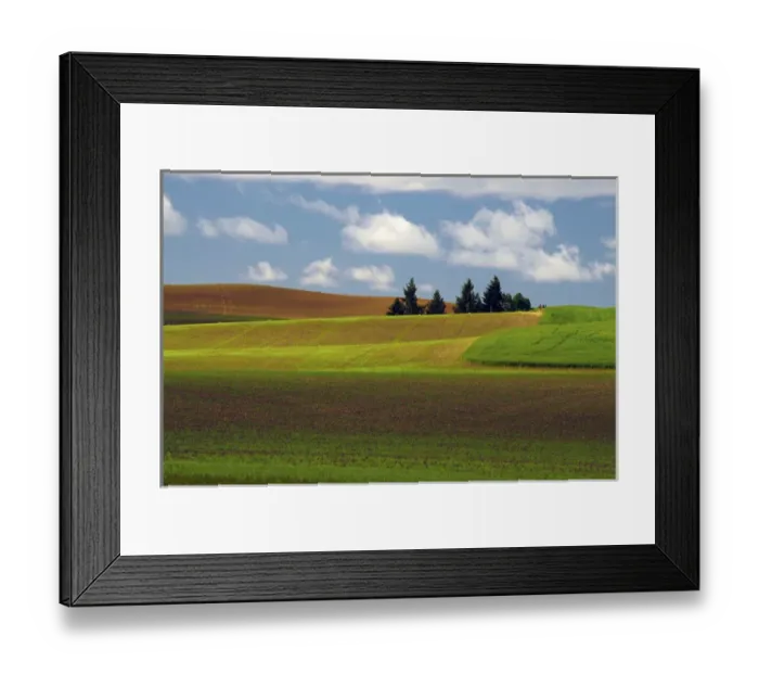 Framed Print : Palouse View, Whitman County, Washington Framed Print : Palouse View, Whitman County, Washington