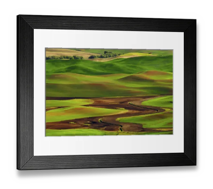 Framed Print : Palouse view from Steptoe Butte of Cultivation Patterns Framed Print : Palouse view from Steptoe Butte of Cultivation Patterns
