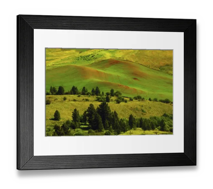 Framed Print : Cultivation Pattrens in the Palouse from Steptoe Butte Framed Print : Cultivation Pattrens in the Palouse from Steptoe Butte