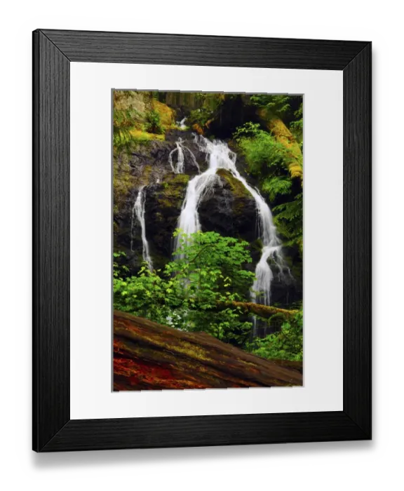 Framed Print : Cascade Falls, Moran State Park, Orcas Island, Washington, USA Framed Print : Cascade Falls, Moran State Park, Orcas Island, Washington, USA