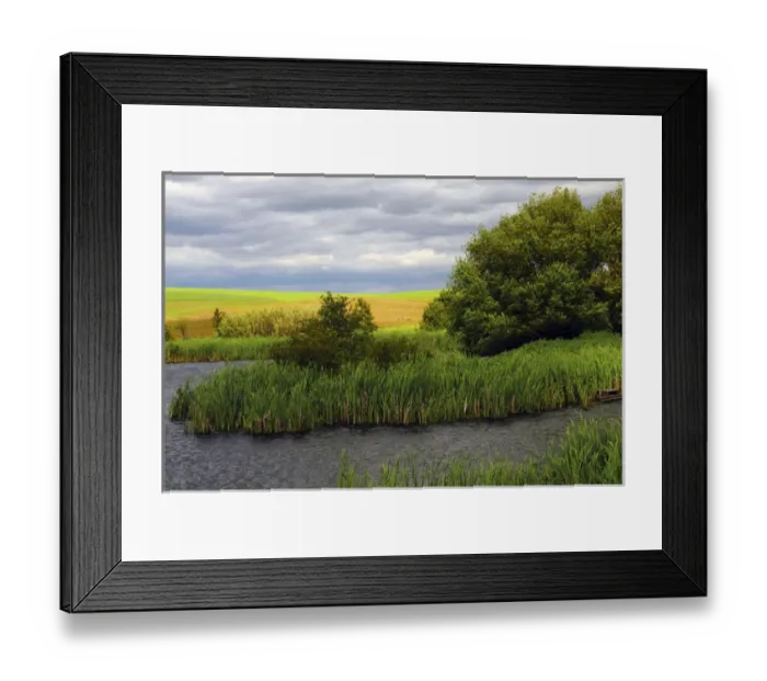 Framed Print : Creek on Farm in Palouse Area, Whitman County, Washington, USA Framed Print : Creek on Farm in Palouse Area, Whitman County, Washington, USA