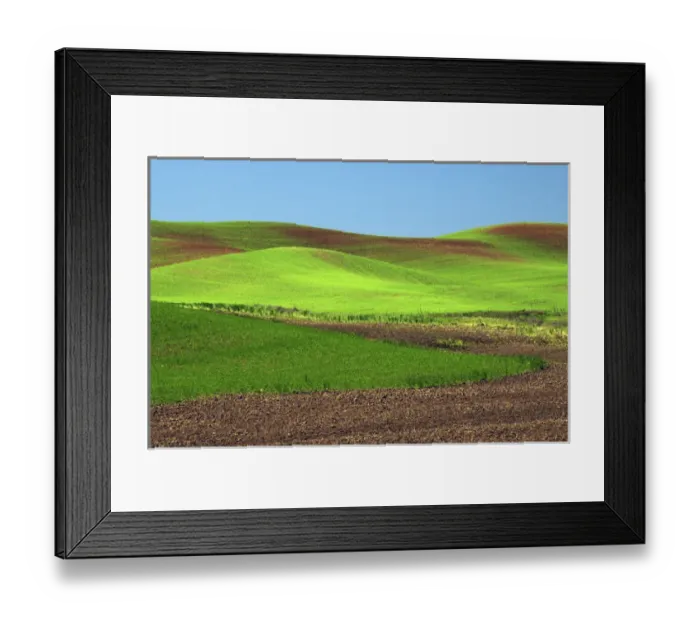 Framed Print : Cultivation Patterns, Palouse, Whitman County, Washington, USA Framed Print : Cultivation Patterns, Palouse, Whitman County, Washington, USA