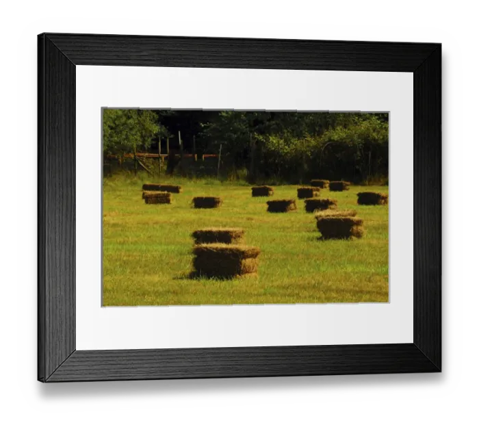 Framed Print : Haystacks in late afternoon, Doe Bay, Orcas Island, Washington, USA Framed Print : Haystacks in late afternoon, Doe Bay, Orcas Island, Washington, USA